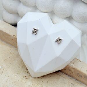 Aretes Inicial N - Imagen 1